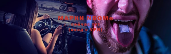 прущие грибы Алексеевка