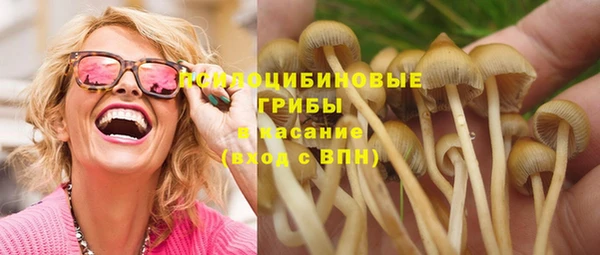 прущие грибы Алексеевка