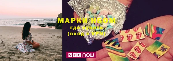 прущие грибы Алексеевка