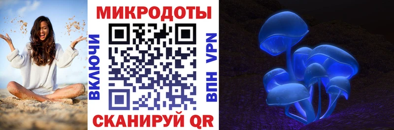 Псилоцибиновые грибы Psilocybe  Дмитров 