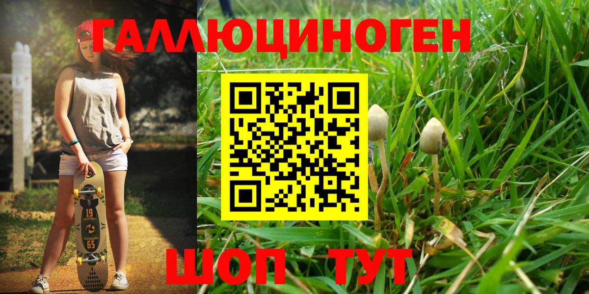 Галлюциногенные грибы MAGIC MUSHROOMS  Вход с VPN  Галлюциногенные грибы мицелий  Дмитров 