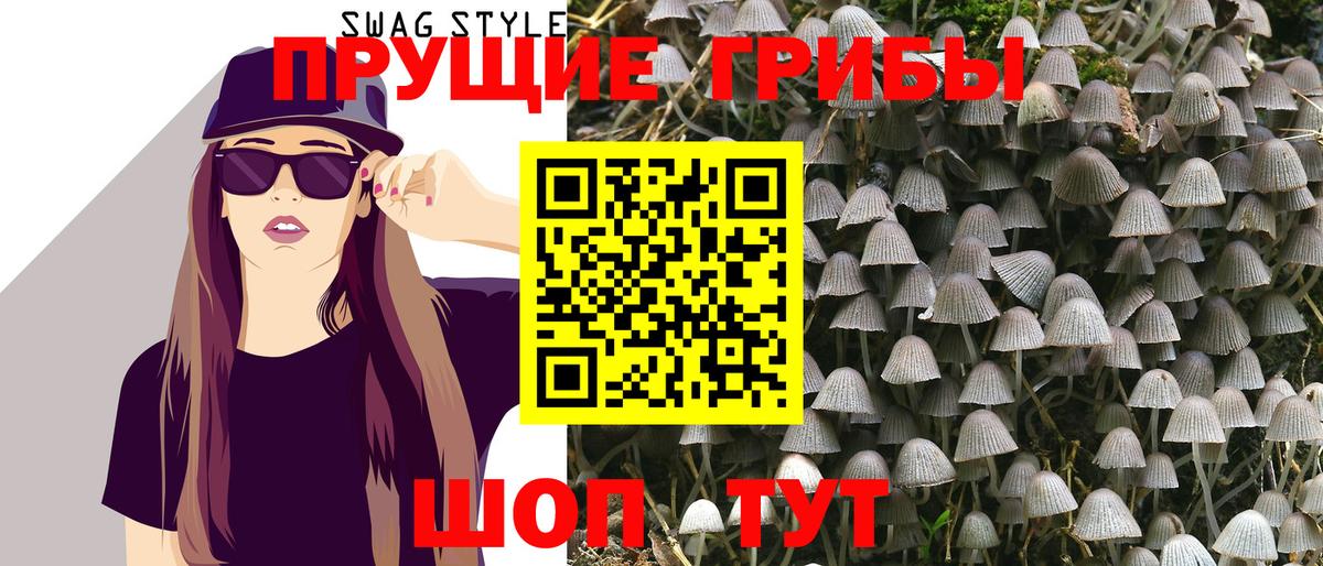 Псилоцибиновые грибы Cubensis Дмитров