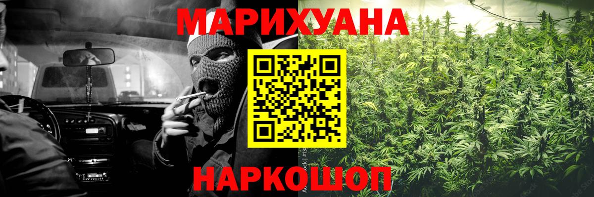 Бошки Шишки план Дмитров